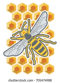 Bee crawling on honey comb
