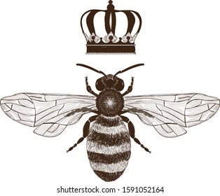 Bee And Crown Vintage Illustration