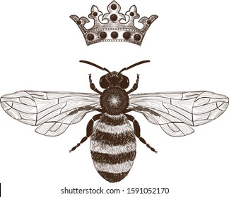 Bee And Crown Vintage Illustration