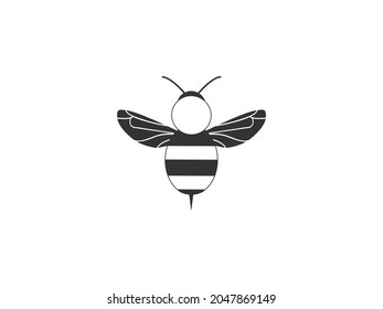Bee, Cute bee, beetle, honey icon. Vector illustration. Flat design.