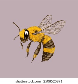 Bee bee doodle vector illustration 
