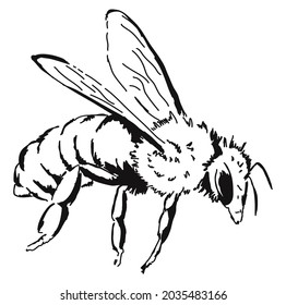 Bee drawing black on white