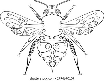 
bee drawn with thin black lines
