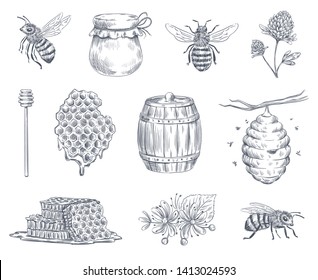 Bee Engraving. Honey Bees, Beekeeping Farm And Honeyed Honeycomb Vintage Hand Drawn Vector Illustration Set