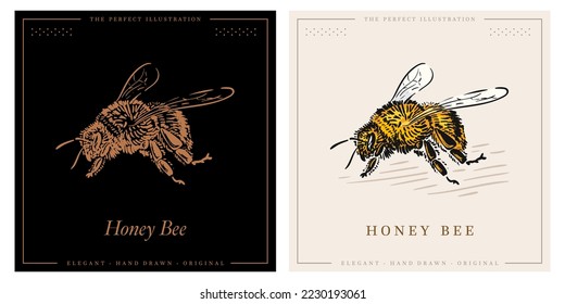 bee engraving illustration white background