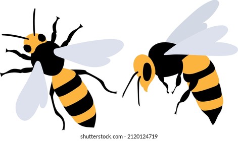 bee flat design on white background, vector