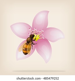 Bee flies on a flower. Vector illustration.