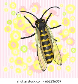A bee and a flower. The dance of the bee around the bud. Garden of flowers. Vector illustration for your design.