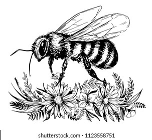 Bee with flowers. Hand drawn illustration converted to vector