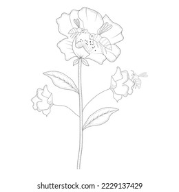 Bee with flowers hand drawn on white background.