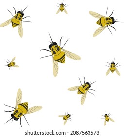 Bee fly, illustration, vector on a white background.