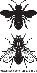 Bee and Fly Silhouettes Vector Insect Icons for Identification and Design
