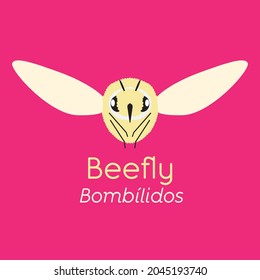Bienenfliege, kleines Insekt, zart und haarig.