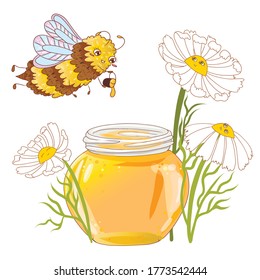 Bee fly with some chamomile’s honey and cute chamomile flower