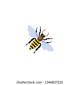 bee flying icon on a white background