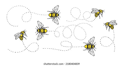 Bee flying. Bee flying on a dotted route. Hand drawn bees. Vector illustration