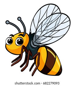 Bee flying on white background illustration