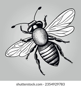 Bee Flying outline vector coloring page realistic bee for kids book