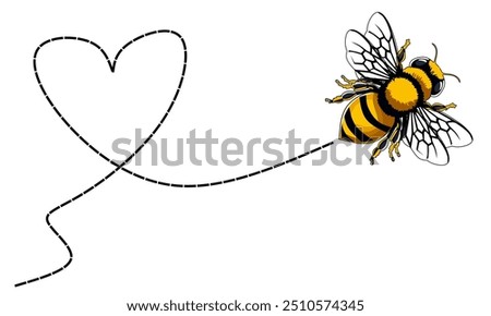 Bee flying path. A bee flying in a dotted line love. The flight path of bee. Bee flying on a dotted route. Hand drawn detailed bees.