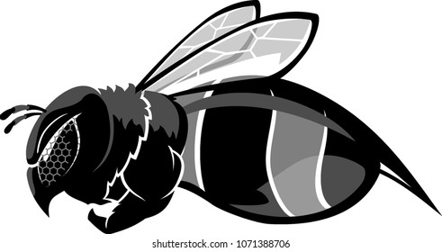 Bee Flying Side View