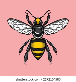 Bienenfliege, Vektorgrafik schwarz-gelb