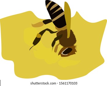 Bee gathering nectar, illustration, vector on white background.