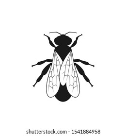 Bee graphic icon. Sign bee isolated on white background. Symbol of beekeeping. Vector illustration