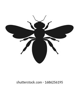 Bee graphic icon. Sign bee isolated on white background. Symbol of beekeeping. Vector illustration