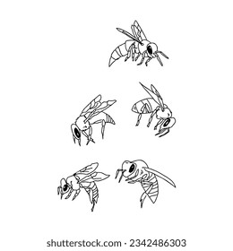 bee hand drawn doodle illustrations vector set