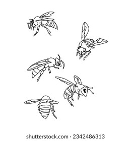bee hand drawn doodle illustrations vector set