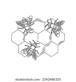 bee hand drawn doodle illustrations vector set