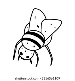 Bee in hand drawn doodle style. Vector illustration isolated on white. Coloring page.
