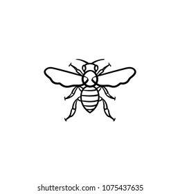 Bee hand drawn outline doodle icon. Insect bee vector sketch illustration for print, web, mobile and infographics isolated on white background.