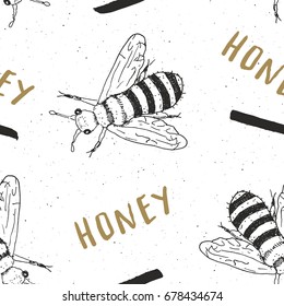 Bee hand drawn seamless pattern, with word honey vector illustration.