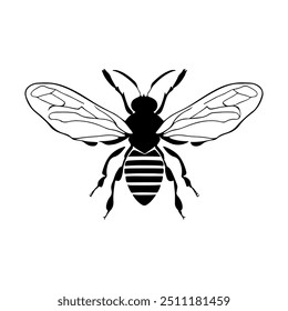 Bee, Hand-Drawn Vector, Graphic Style, Cartoon Illustration, Black and White, Sketch Style, Isolated on White Background