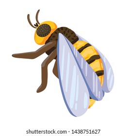 A bee, a hardworking insect, a symbol of wholesome honey. Isolated vector character on white background. Vector cartoon flat style illustration.