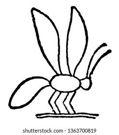 Bee Heiroglyph was a title of the King of Upper and Lower Egypt, vintage line drawing or engraving illustration.