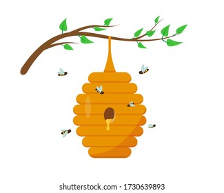 Bee hive with honey on the tree branch with leaves. Bee house and insect in nature. Vector illustration on white background.