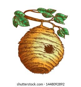 Bee Hive House Of Wild Insect On Branch Vector. Engraved Organic Nature Wax Bee Home Beehive With Circular Entrance For Flying Animal Colony On Leaves Tree. Color Illustration