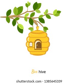 Bee hive in a tree branch isolated on a white background vector illustration. cartoon bee house with a door and window
