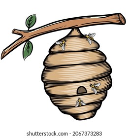 Bee hive vector. Honey bees and hive on tree branch vector illustration isolated on white.