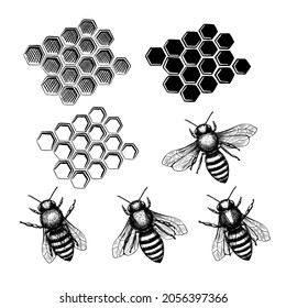 Bee and homeycomb set in sketch style on black background. Nature vector vintage illustration design element set. Hand draw.