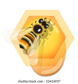 bee and honey