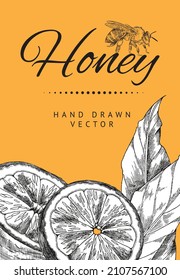 Bee honey banner or label layout with hand drawn engraving style plant elements, vector illustration. Bees wax or honey jar banner or advertisment sale label design.