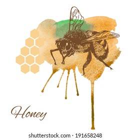 Bee and honey card. Hand drawn vector illustration.