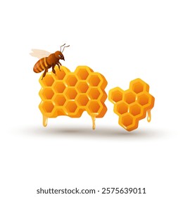 Bee with honey comb in flat design. Honeycomb and insect, apiculture product. Vector illustration isolated.