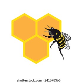 BEE AND HONEY COMB ILLUSTRATION VECTOR