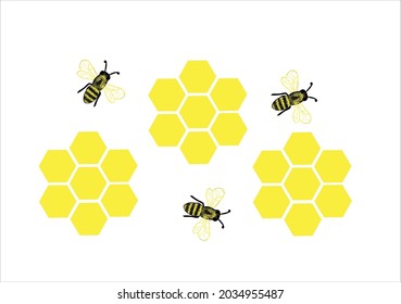 bee honey comb vector art design 