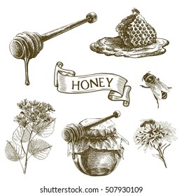 Bee. Honey. Honeycomb