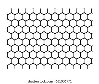  bee honey in honeycomb